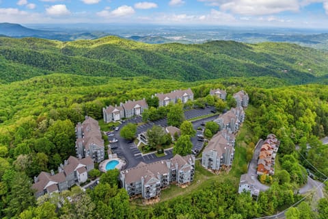 Aerial Property View