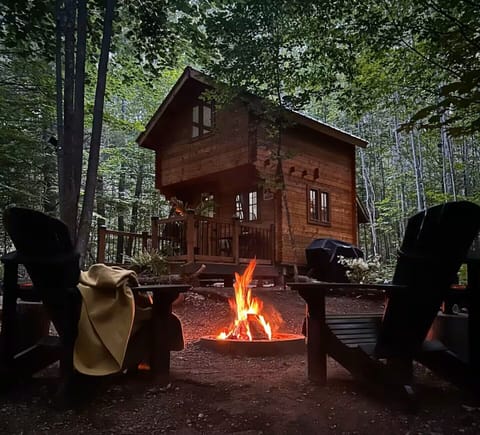 Sit close together around the roaring fire as dusk settles over the forest. 🔥