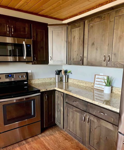 electric stove and oven