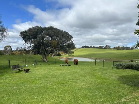 Fram views