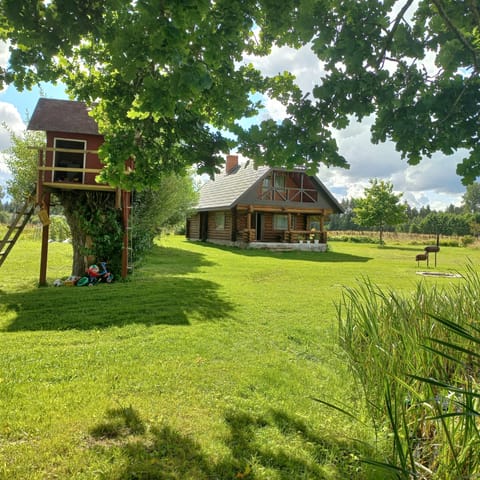 Children's area
