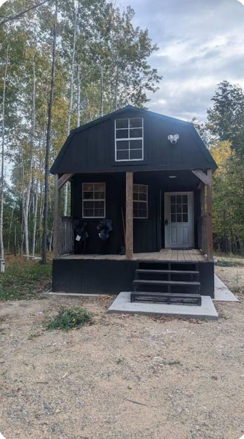Cozy tiny cabin nestled in nature near Leech Lake