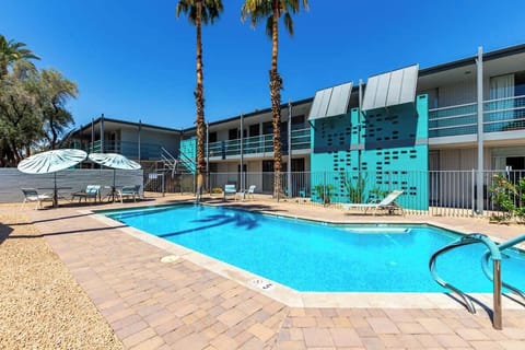 Shared pool for all guests to relax and enjoy during their stay.
