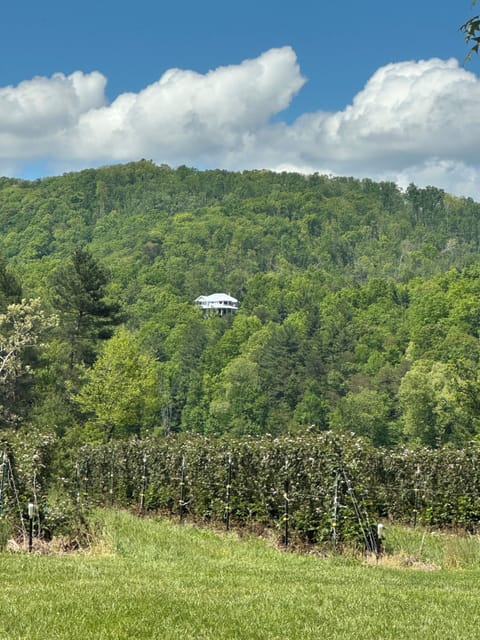The Estate location view from across the valley.