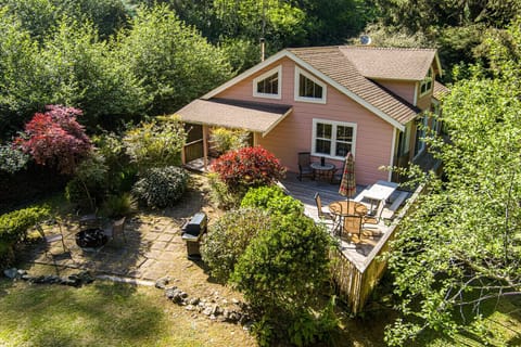 Aerial front view of home
