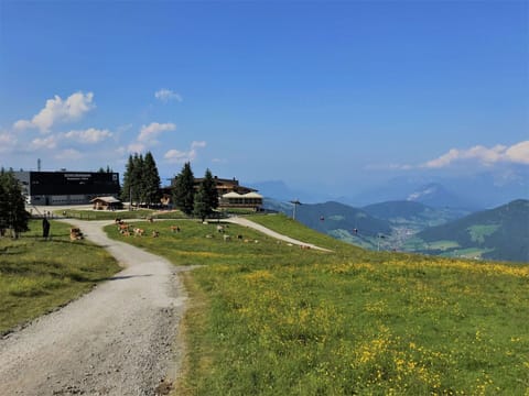 Grass, Mountainous Landforms, Hill, Grassland, Highland, Landscape, Plain, Hill Station, Land Lot, Mountain Range