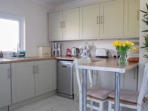 Furniture, Interior Design, Flooring, Kitchen Appliance, Kitchen, Countertop, Cabinetry, Wood, Floor, Room