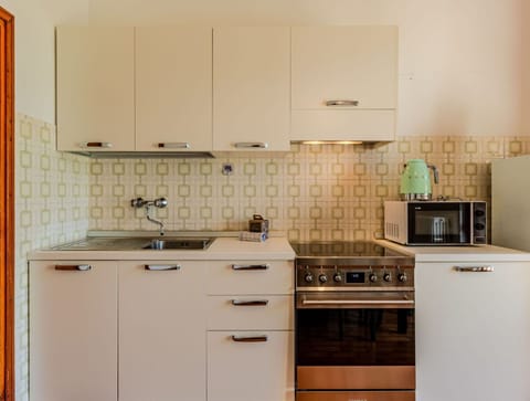 Kitchen Appliance, Kitchen, Cabinetry, Countertop, Major Appliance, Home Appliance, Wood, Kitchen Stove, Stove, Kitchen Sink