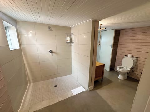 Basic Double or Twin Room | Bathroom | Shower, free toiletries, hair dryer, towels