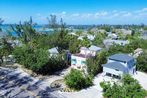 The Pink Pelican by FVC