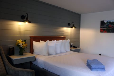 Standard Room, Refrigerator & Microwave, Ground Floor | Desk, iron/ironing board, rollaway beds, free WiFi