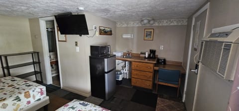 Standard Single Room, 2 Double Beds, Kitchenette, Ground Floor | Private kitchen | Fridge, microwave, coffee/tea maker, freezer