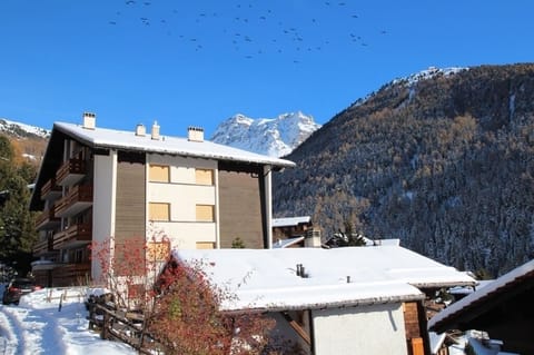 Solalp - ext neige