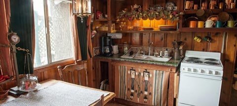 Family Cabin, 2 Double Beds | Private kitchen | Microwave, coffee/tea maker, paper towels, dining tables