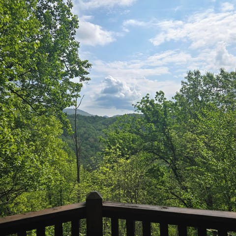 Back deck view