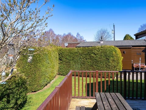 Shrub, Hedge, Garden, Fence, Home Fencing, Landscaping, Backyard, Lawn, Yard, Shade