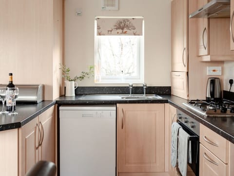 Kitchen Appliance, Kitchen, Countertop, Major Appliance, Furniture, Cabinetry, Home Appliance, Interior Design, Stove, Kitchen Stove