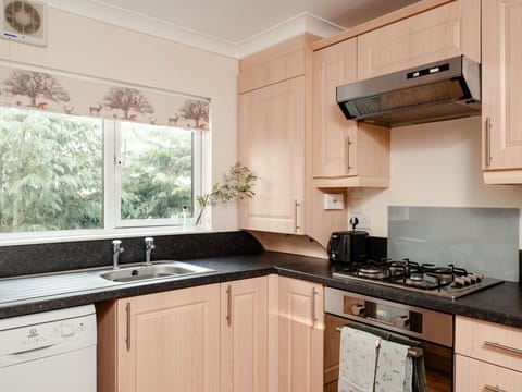 Kitchen, Kitchen Appliance, Countertop, Major Appliance, Cabinetry, Interior Design, Kitchen Stove, Stove, Furniture, Gas Stove