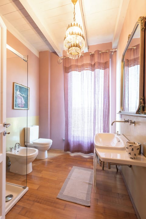 Hair dryer, bidet, towels, soap