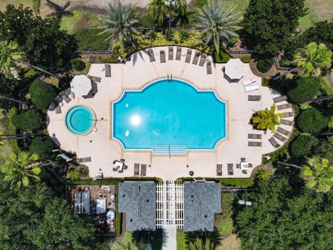 Divine into the Resort Pool