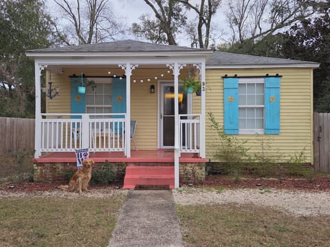 A home is not a home without a dog