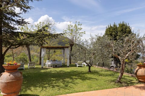 Furniture, Garden, Outdoor Furniture, Spring, Flowerpot, Shade, Backyard, Yard, Landscaping