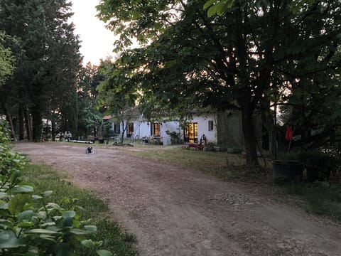 Property grounds