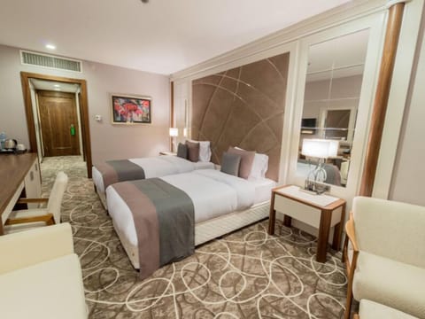 Classic Double Room Single Use, City View | Premium bedding, minibar, desk, laptop workspace