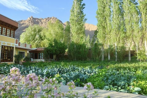 Garden view