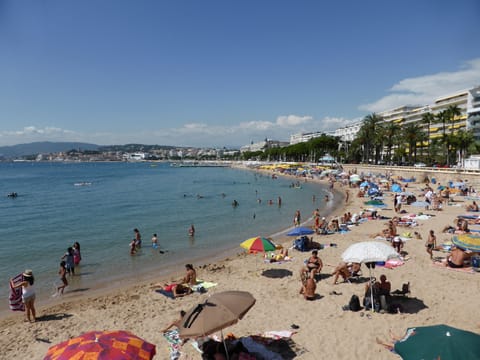 Palm Beach