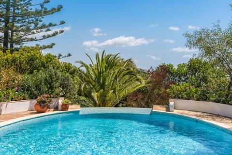 Large terrace surrounding the pool