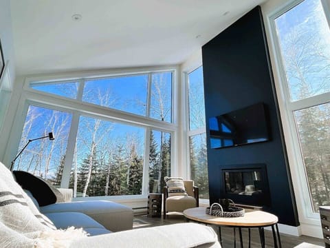 Forest views and sunlight streaming through, your summer just got brighter.