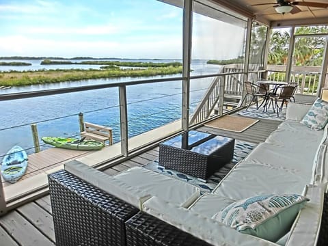 Watch the Dolphin Shows Daily On Our Cozy Deck
