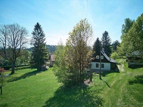 Tree, Leaf, Shrub, House, Cottage, Land Lot, Lawn, Home, Rural Area, Garden