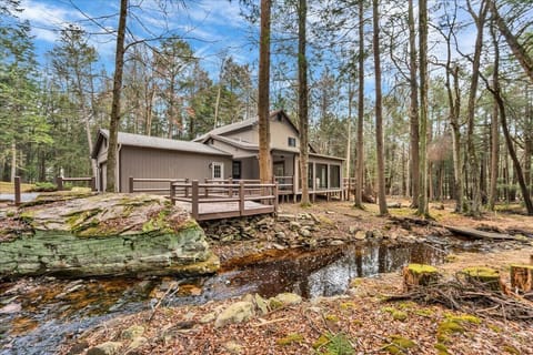 Peaceful Forest Stream on the Property