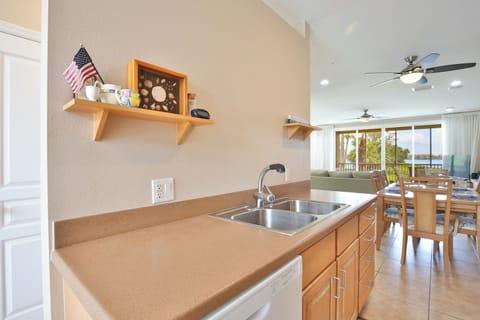 Kitchen Sink with Dishwasher And Ample Counter Space