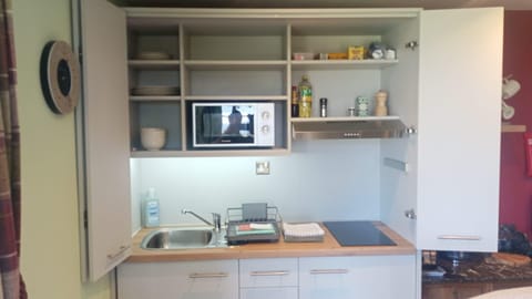 Fridge, microwave, stovetop, electric kettle