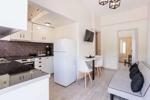 Apartment 1: Living room and fully-equipped kitchen