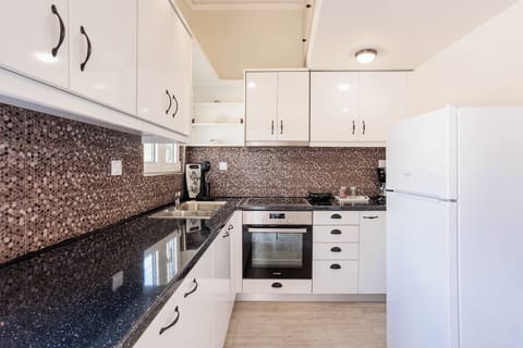 Apartment 1: View of the kitchen