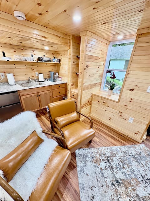 Living room and kitchen