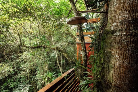 Family Tree House, Balcony, Mountain View | Bathroom | Towels, soap, shampoo, toilet paper