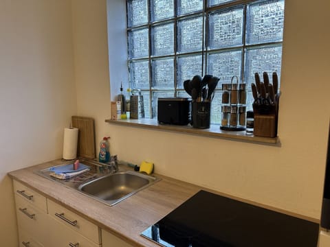 Superior Apartment, Private Bathroom (1) | Shared kitchen