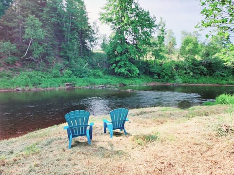 Sit by the river or swim