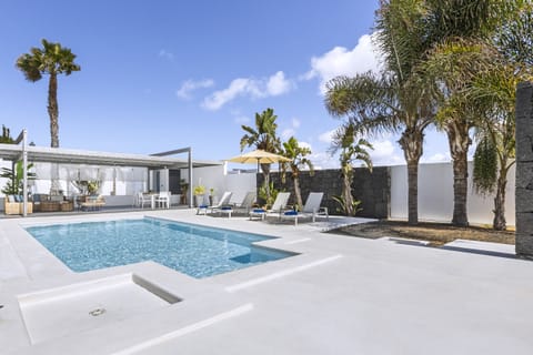 Private pool surrounded by palm trees and spacious terrace.