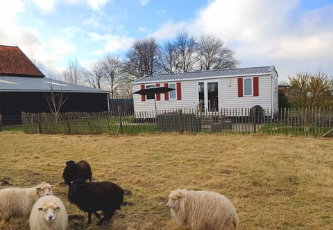 view - Camping Hofstede Zonnevliet - Zeeuwse Knoop