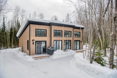 Outdoors, winter
