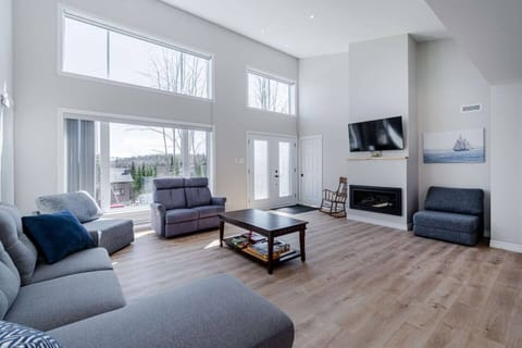 Living room (with sofa-bed and gas fireplace) (1)