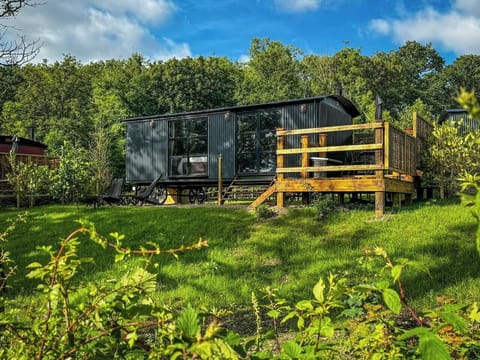 2717c1f4-ac6a-4f3e-ba0d-d81c24036c8f