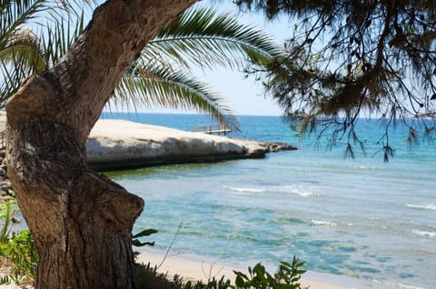 Beach nearby, sun loungers, beach umbrellas, snorkeling