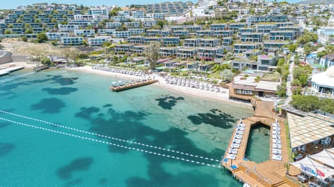 Resort